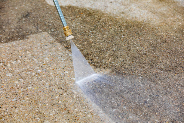 Best Animal Enclosure Cleaning  in Saddle River, NJ